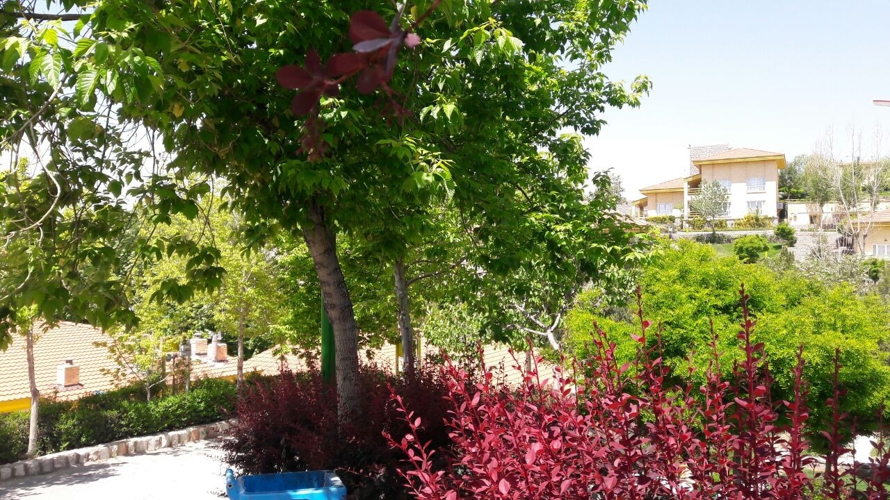 اجاره ویلا در دهکده زاینده رود چادگان 