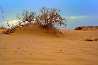 اجاره بومگردی سنتی تفریحی در خور اصفهان - اتاق 1