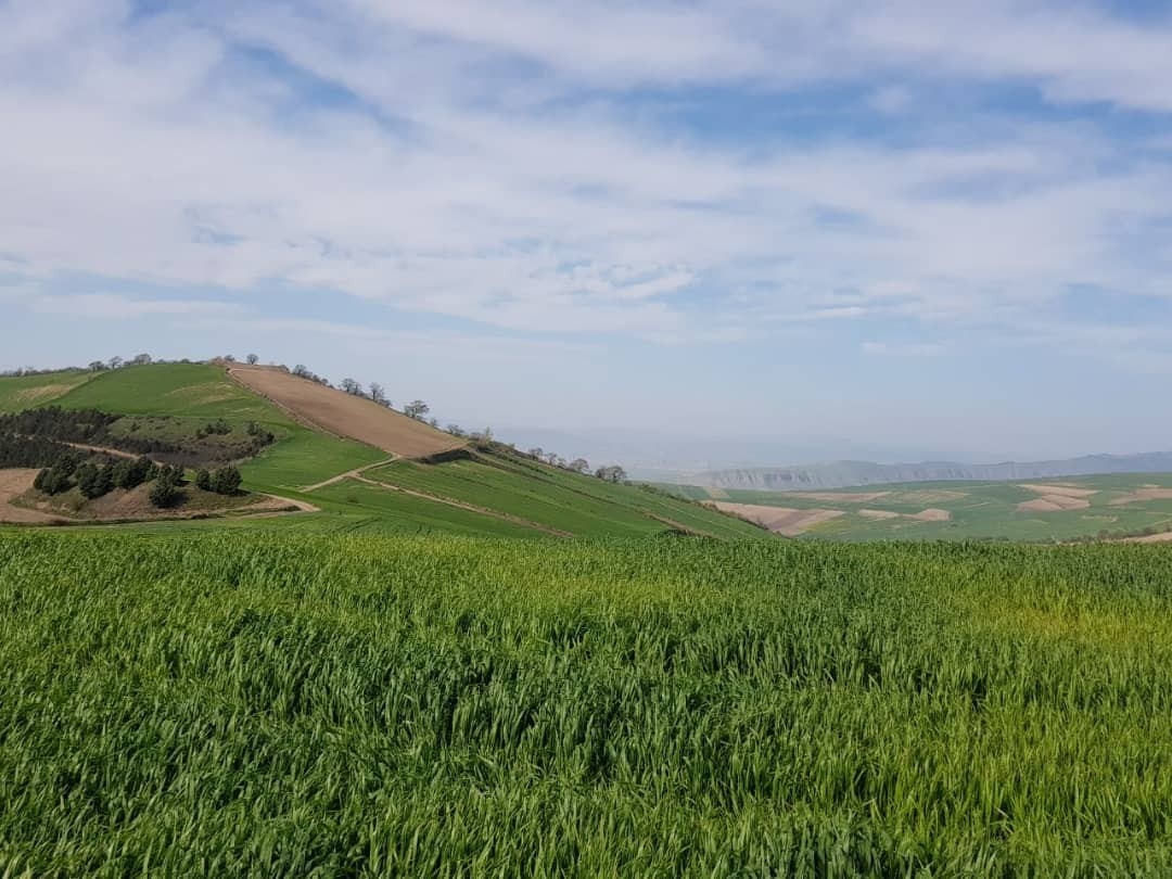 اجاره بومگردی سنتی درحومه کلاله