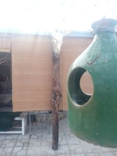 اجاره و رزرو بومگردی سنتی در سمنان- اتاق 1