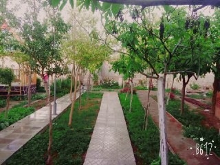 اجاره اقامتگاه بومگردی و خانه سنتی در سمنان-اتاق4