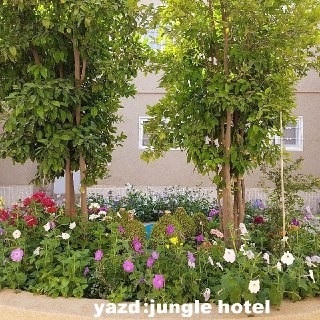 اجاره خانه سنتی جنگل در یزد - اتاق 3 نفره طبقه اول