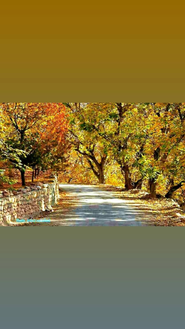 اجاره اتاق بومگردی دهکده ناجی اسفراین - اتاق1