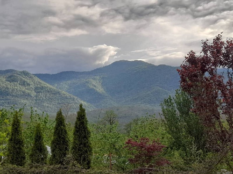 اجاره کلبه در روستای گرماپشته تنکابن-12 متری