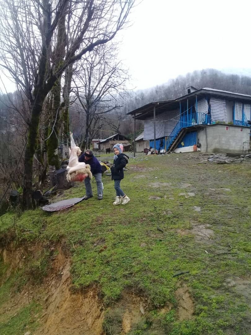 اجاره کلبه جنگلی در قلعه رودخان-دوخوابه طبقه دوم