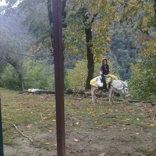 اجاره کلبه جنگلی در قلعه رودخان-دوخوابه طبقه دوم