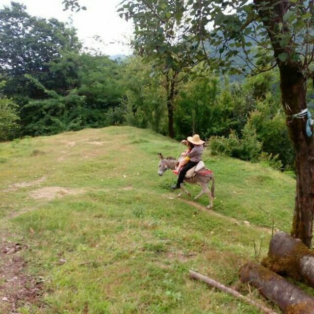 اجاره کلبه جنگلی در قلعه رودخان-دوخوابه طبقه دوم