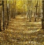 اجاره اتاق بومگردی سنتی در هفتشجان - اتاق 6