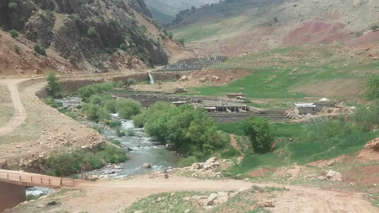 اجاره اقامتگاه بومگردی در ممسنی اردل - اتاق1