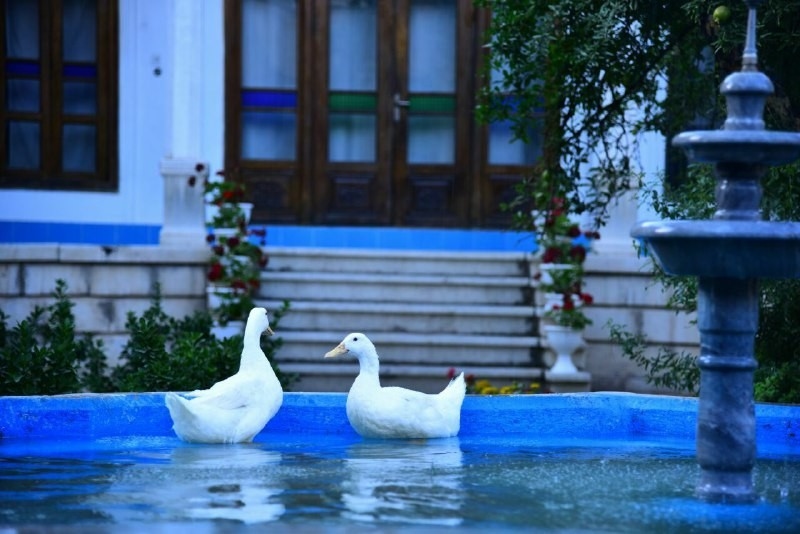 اجاره بومگردی سنتی تمیز در استانداری اصفهان - اتاق7