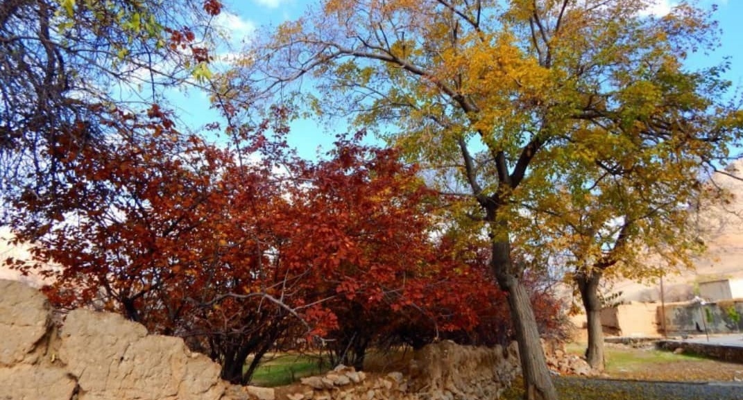 اجاره اقامتگاه بومگردی در کهک دلیجان - اتاق4