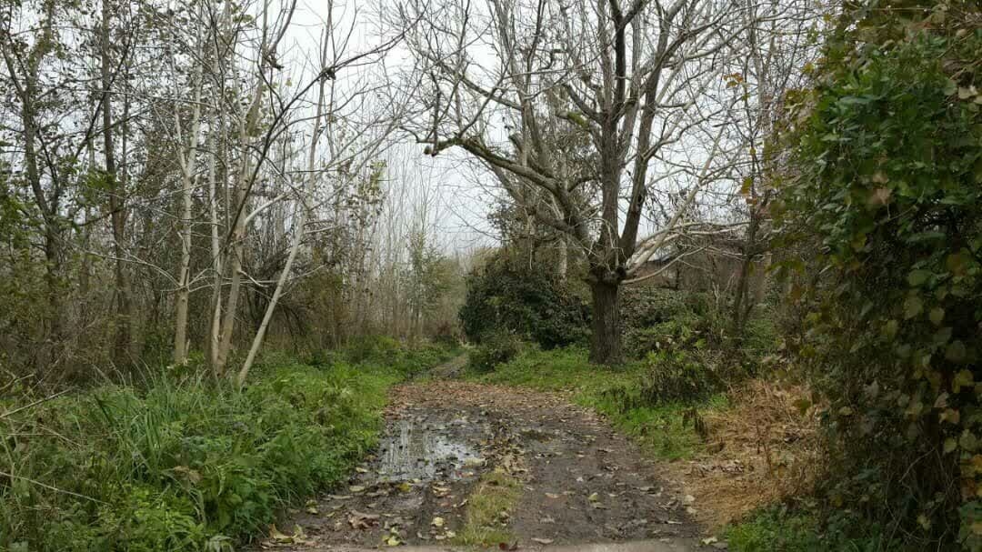 اجاره سوئیت مبله در روستای لیالستان لاهیجان - 25