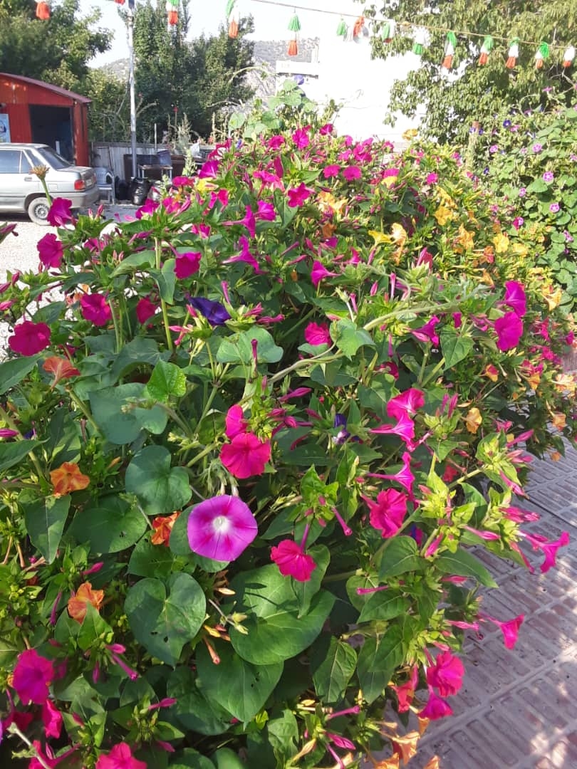 اجاره مجتمع باغ تفریحی در سی سخت