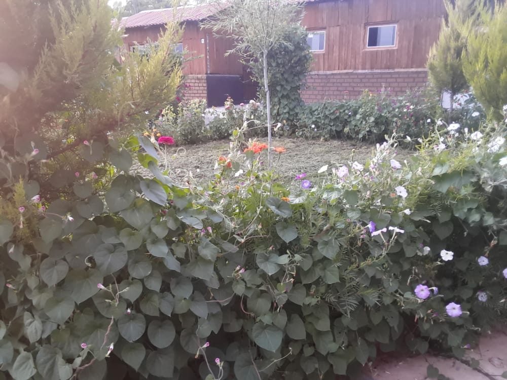 اجاره مجتمع باغ تفریحی در سی سخت