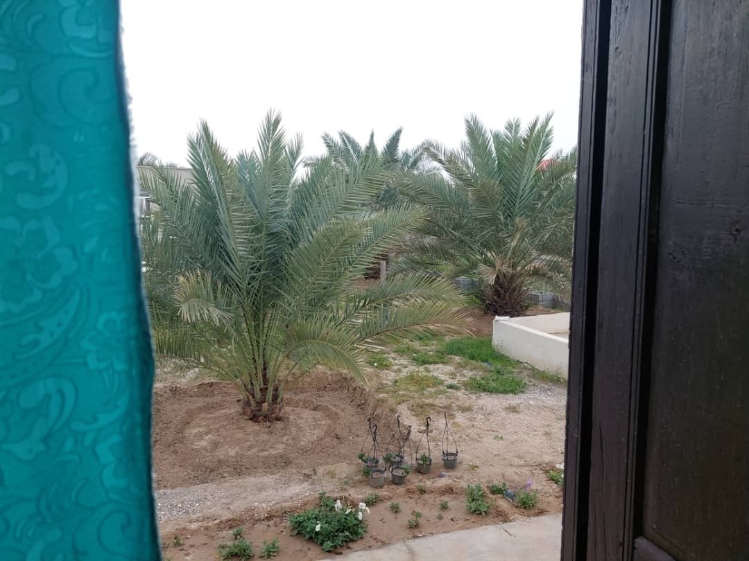 اجاره اتاق در جبری خورموج - رز