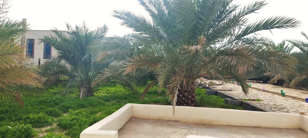 اجاره اتاق سنتی در روستا جبری خورموج - نخل