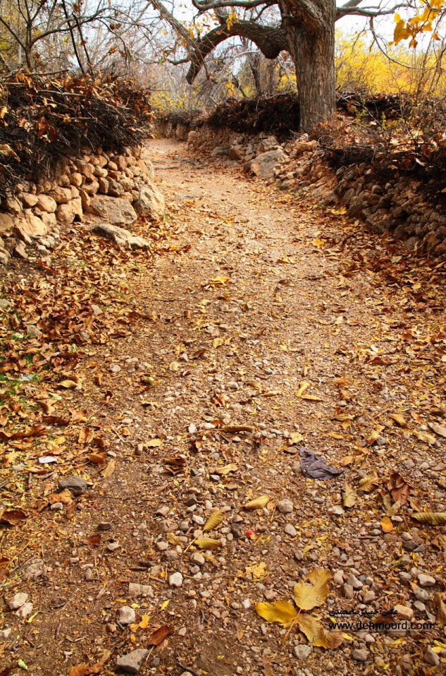 اجاره بوم گردی سنتی  مستردار دهمورد بختگان - اتاق دو