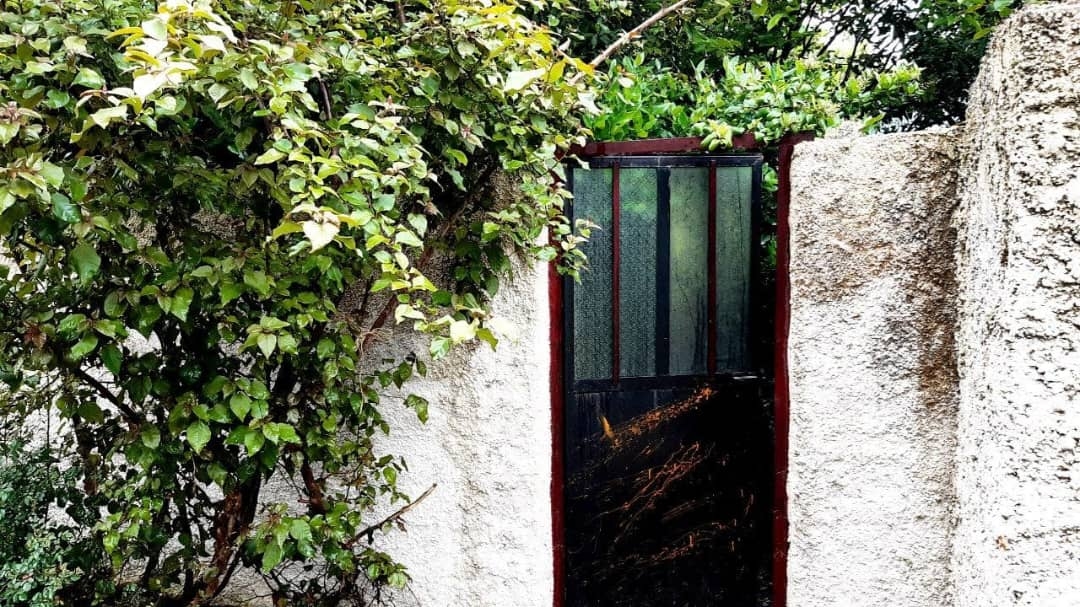 اجاره باغ و ویلا در نعمت آباد تنکابن