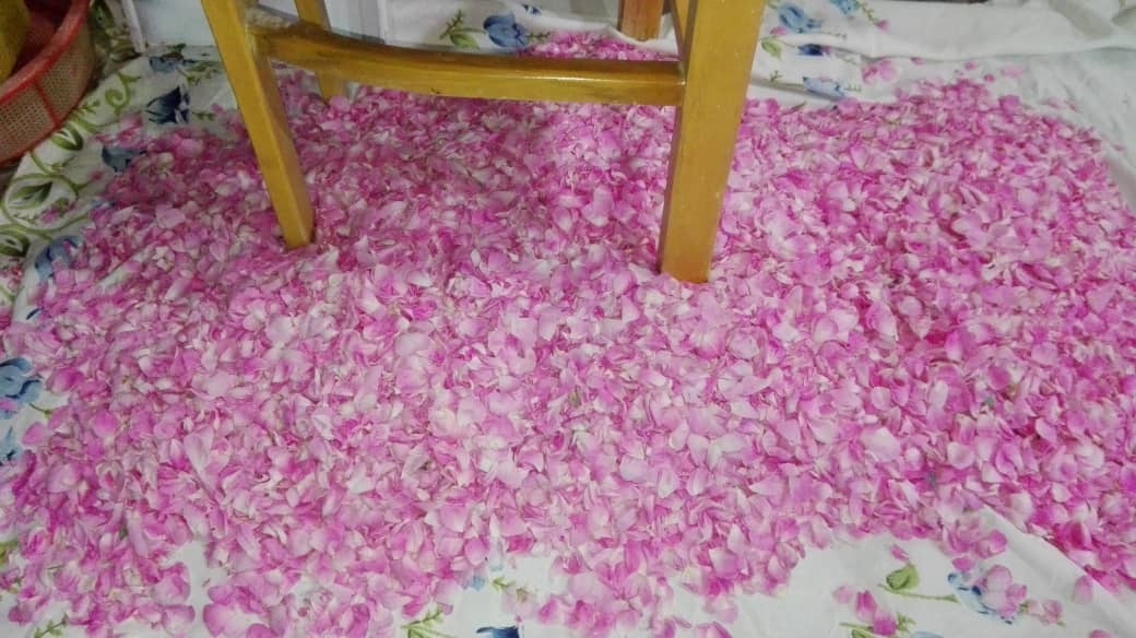 اجاره خانه سنتی در خلیج فارس نیاسر - کاشان - 1