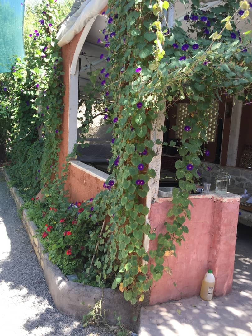 اجاره اقامتگاه بومگردی در خلیج فارس نیاسر - کاشان - 3