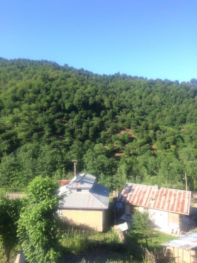 اجاره ویلا اجاره ای شیک درماسال 