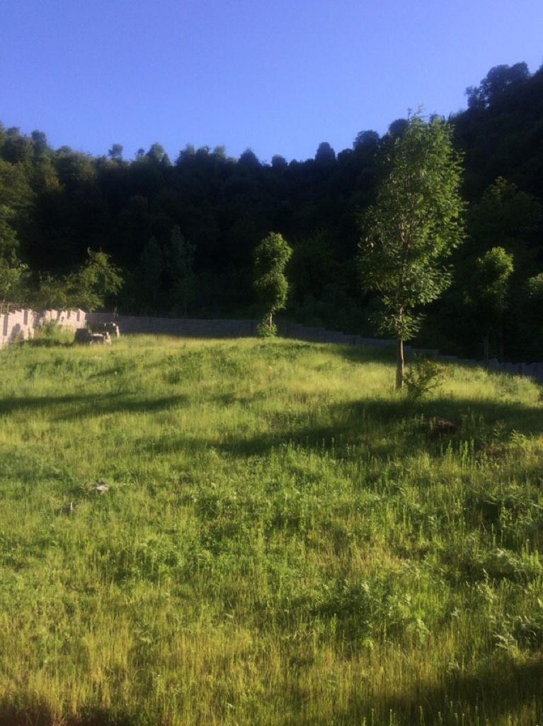 اجاره ویلا اجاره ای شیک درماسال 