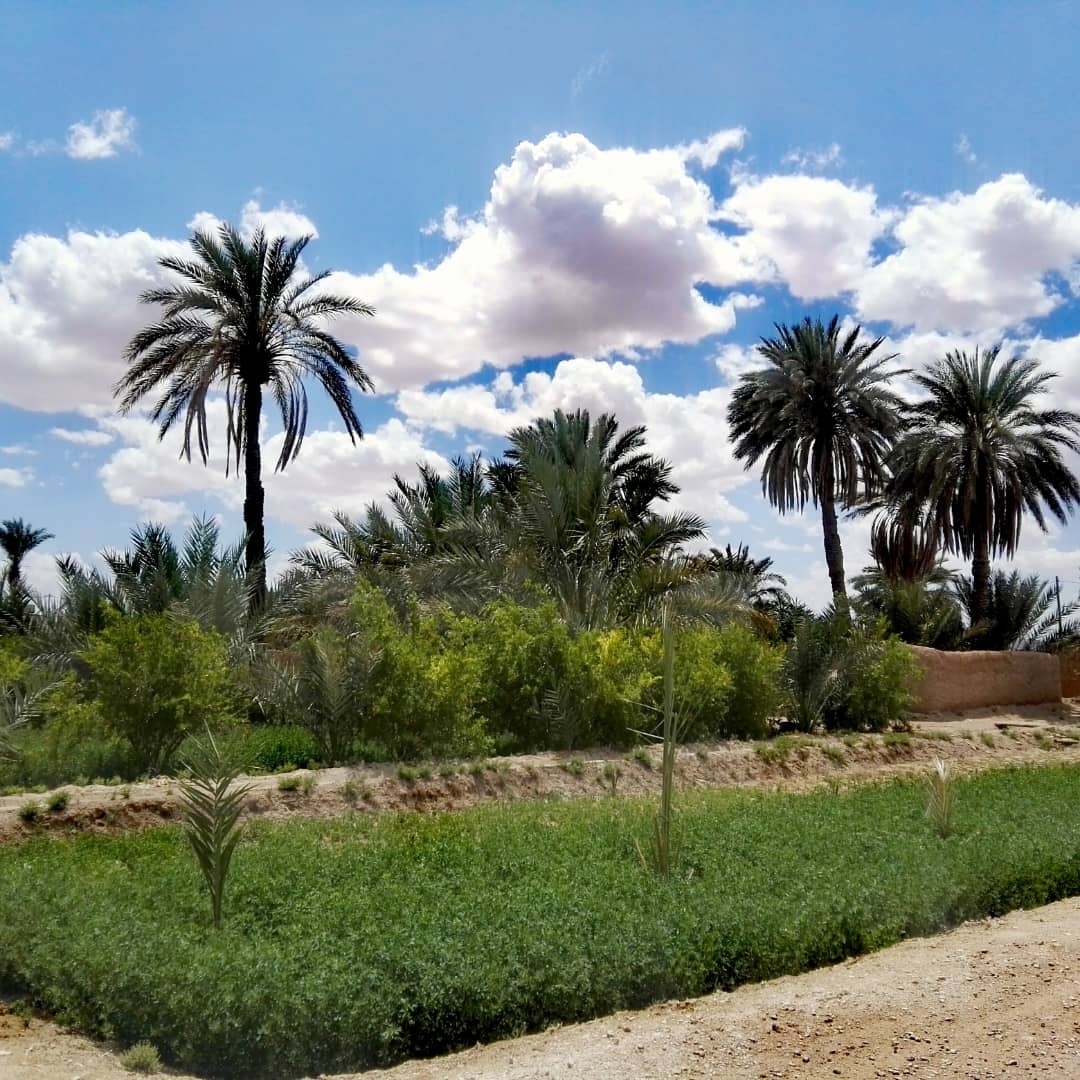 اجاره اقامتگاه بومگردی در خور 