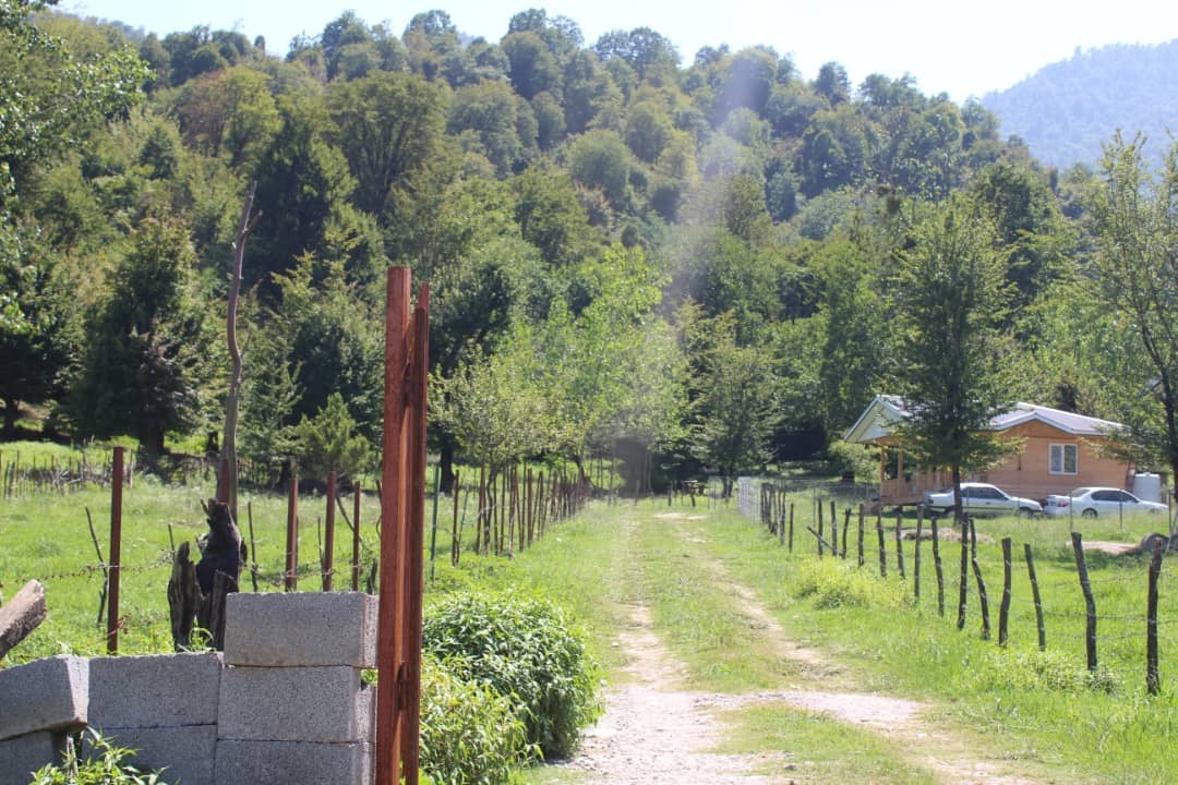 اجاره  کلبه چوبی در روستای سیاه دول ماسال