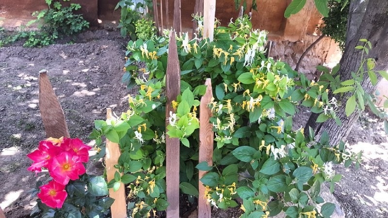 اجاره اقامتگاه بومگردی در خرق فاروج