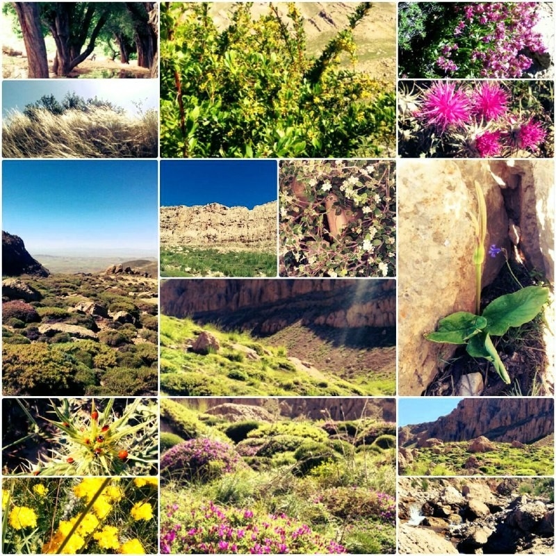 اجاره اتاق سنتی در روستا خرق فاروج