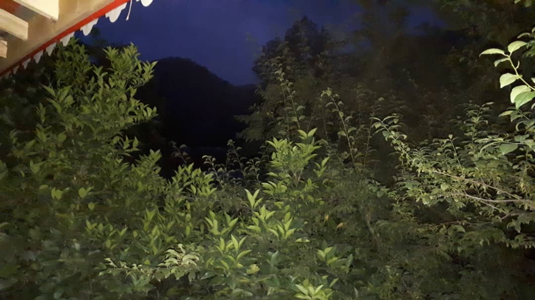 اجاره کلبه چوبی جنگلی در خروم ماسال