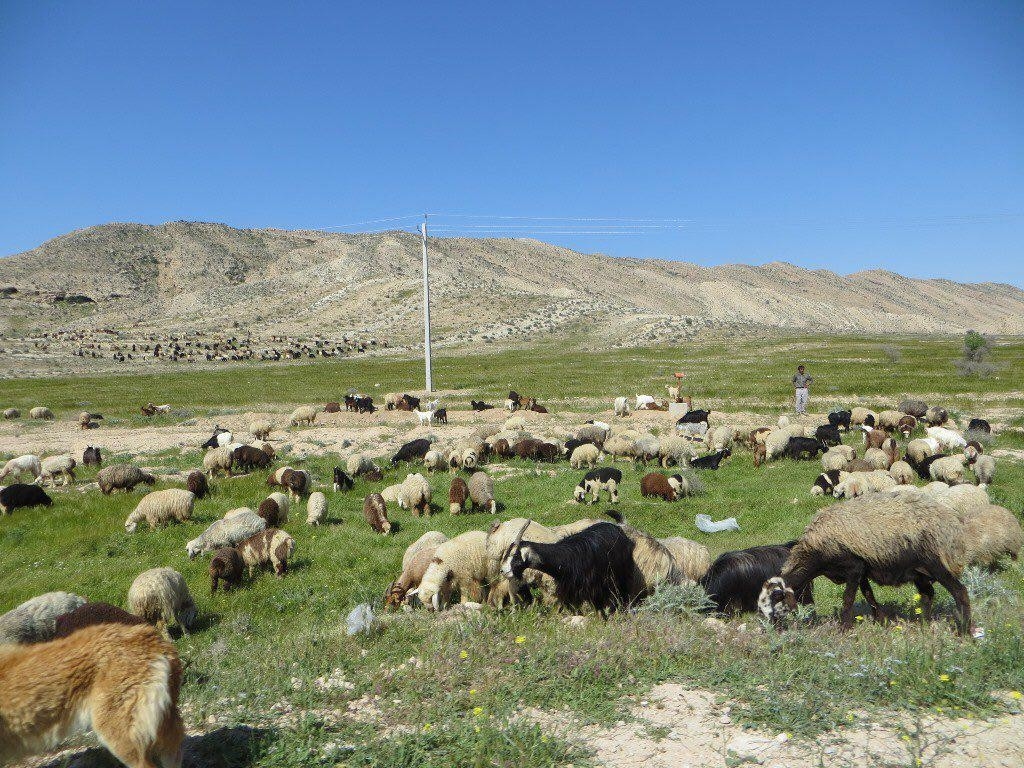 اجاره اتاق بوم گردی فراشبند-امیری 1