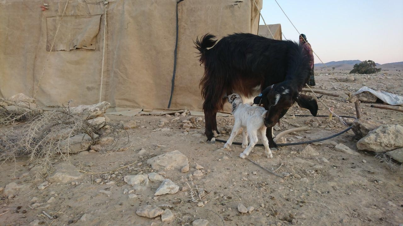 اجاره اتاق بوم گردی فراشبند-امیری 4