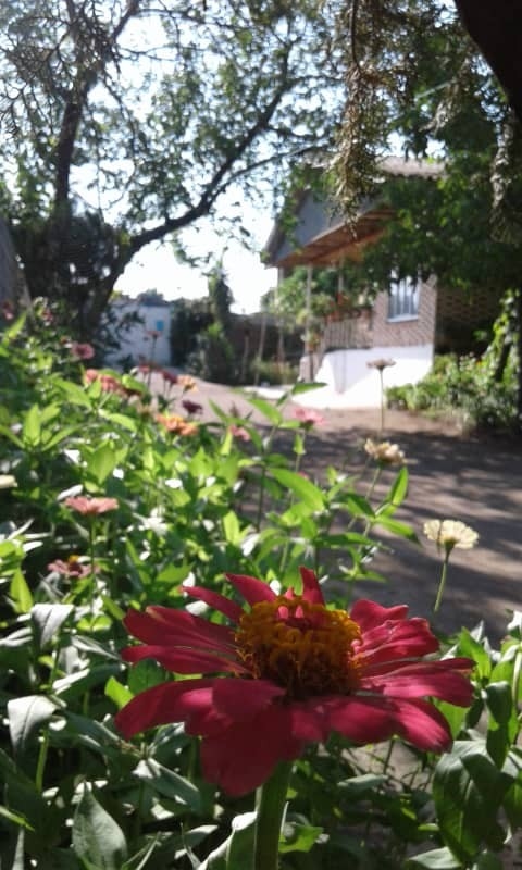 اجاره ویلا ساحلی درتالش