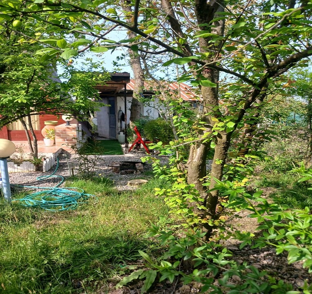 اجاره کلبه سوئیسی در طراز کوه گیلان