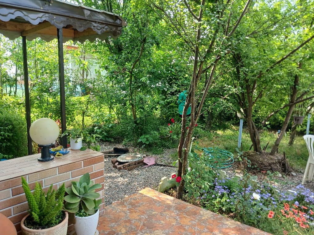 اجاره کلبه سوئیسی در طراز کوه گیلان