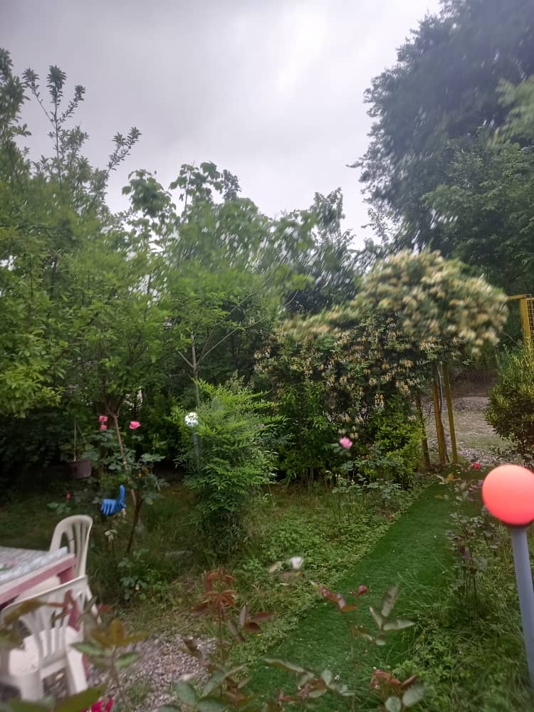 اجاره کلبه سوئیسی در طراز کوه گیلان