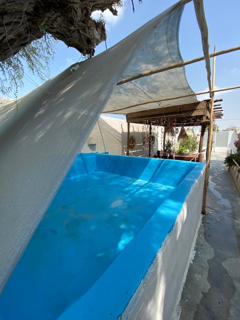 اجاره اقامتگاه بومگردی با استخر روباز در طبل قشم - درخت زندگی محوطه