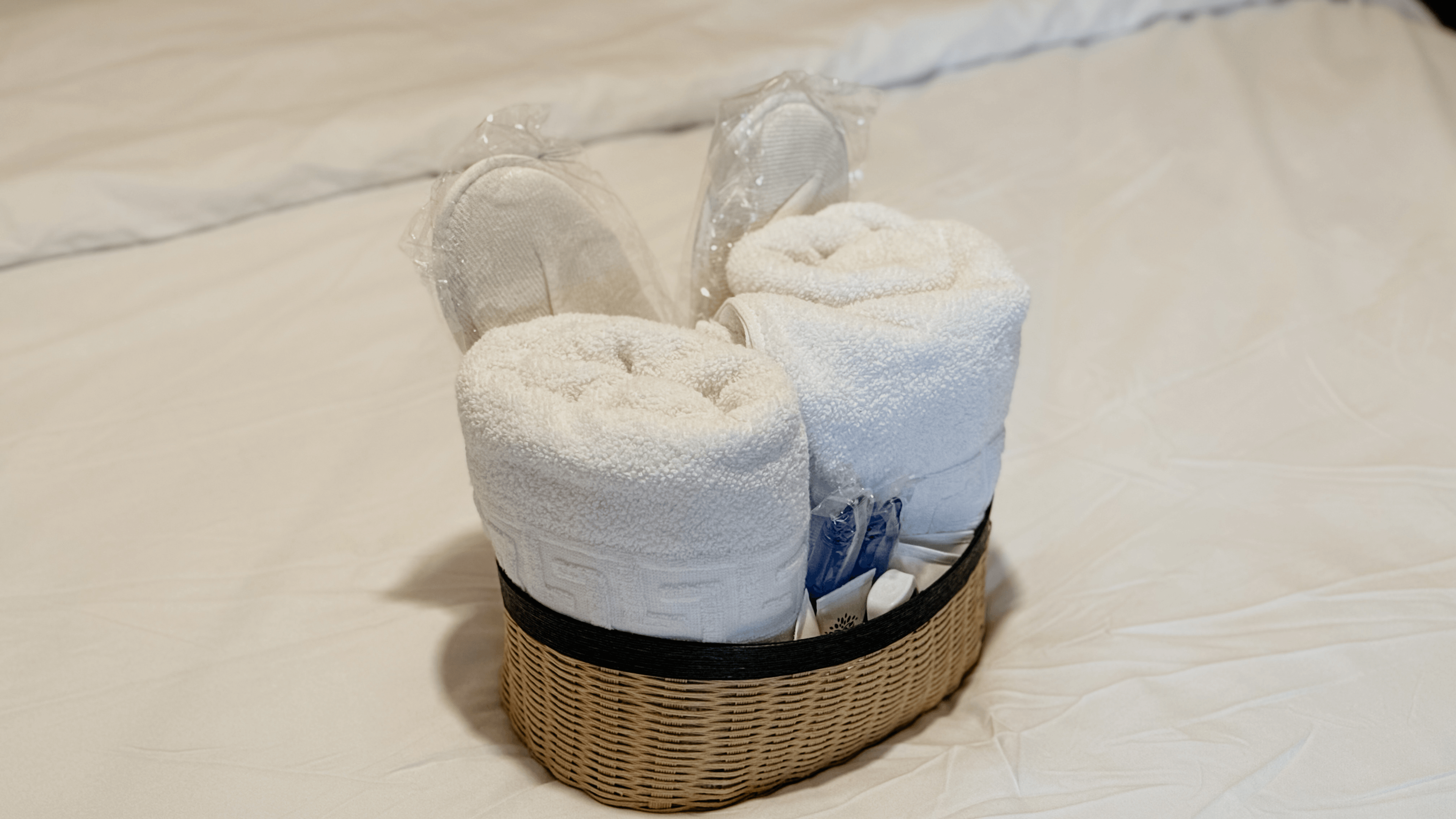 اقامتگاه بوگردی در سهیلی قشم - دو تخته 106 محوطه