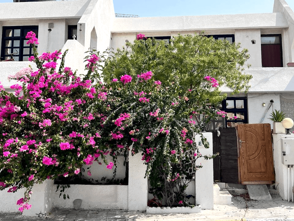 اجاره منزل ویلایی ساحلی در خیابان موج کیش  نما منزل 