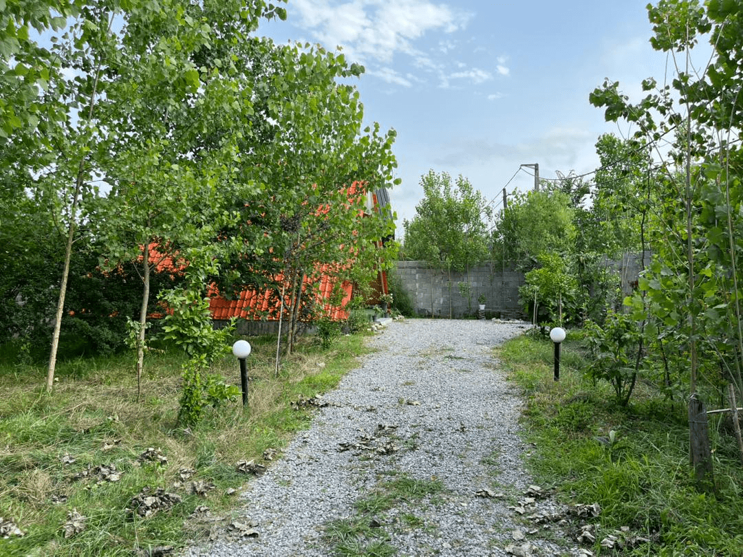 اجاره کلبه سوئیسی نزدیک ساحل در روستا میانرود رضوانشهر - زیزا  نما کلبه 