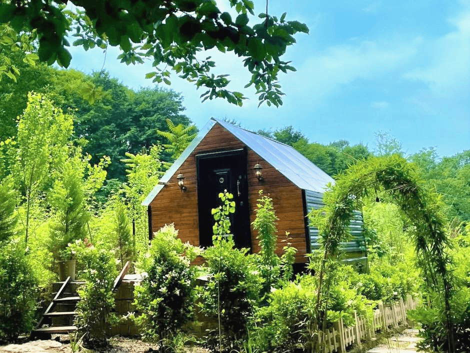 اجاره کلبه شیشه ای در روستا سوخته کوه لاهیجان - لاو سون نما کلبه شیشه ای 