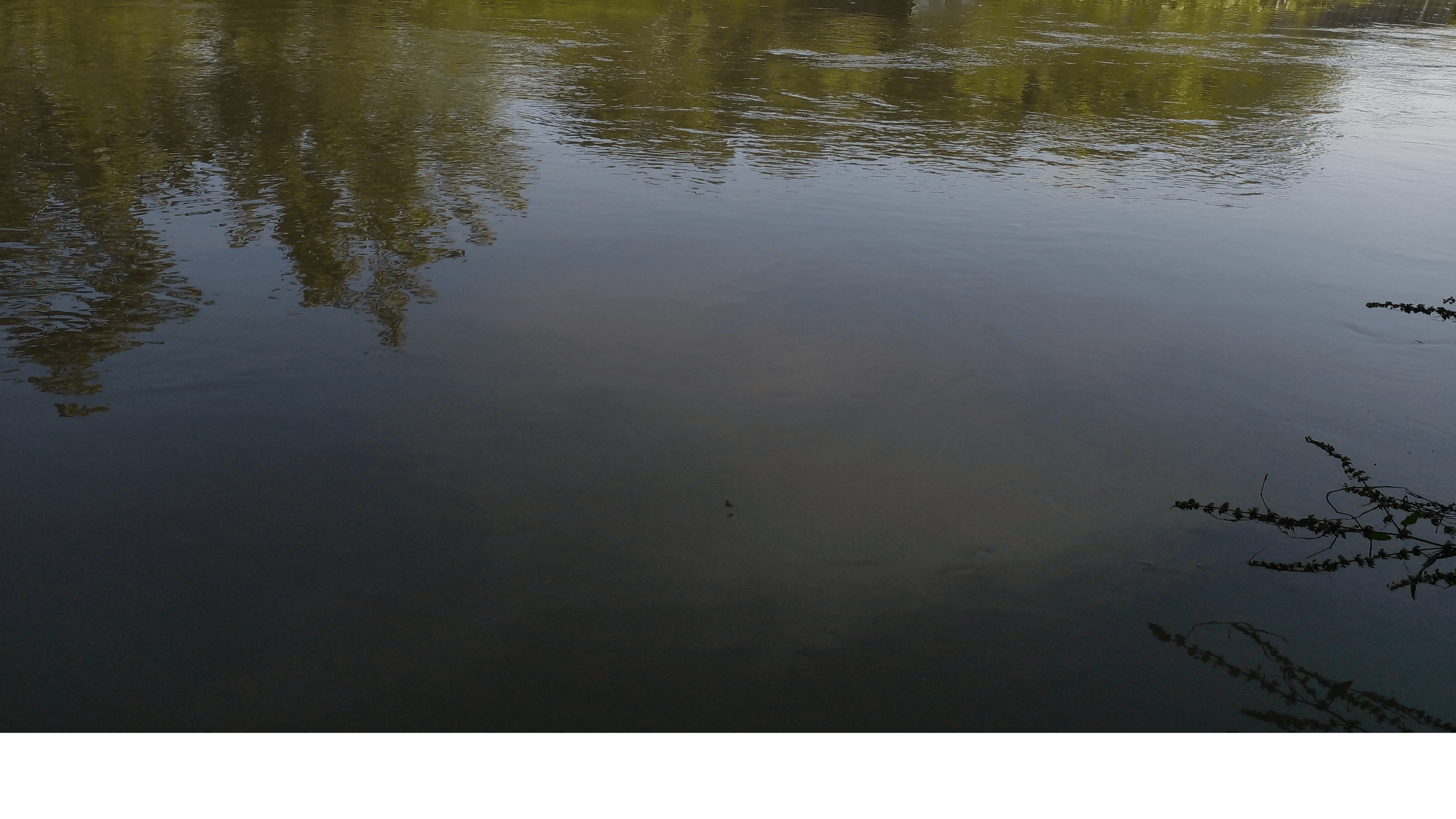 اجاره ویلا ساحلی در رودبنه - تکخواب