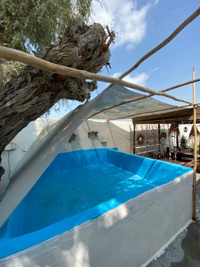 اجاره اقامتگاه بومگردی با استخر روباز در طبل قشم - درخت زندگی محوطه