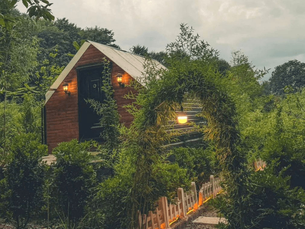 اجاره کلبه شیشه ای در روستا سوخته کوه لاهیجان - لاو سون نما کلبه شیشه ای 