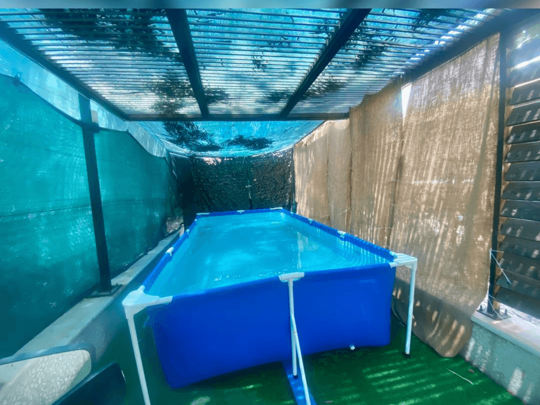 اجاره ویلا دوبلکس جکوزی دار در کیش - دو خواب سالن و اشپزخانه