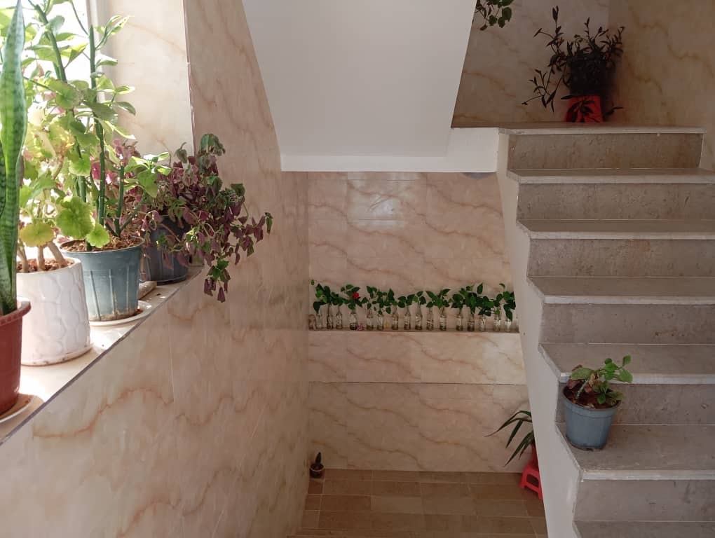 اجاره آپارتمان مبله دو خوابه در گویم شیراز - طبقه اول نما