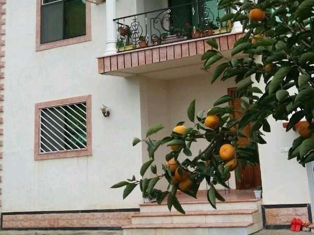 اجاره ویلا جنگلی در سفید تمشک رامسر