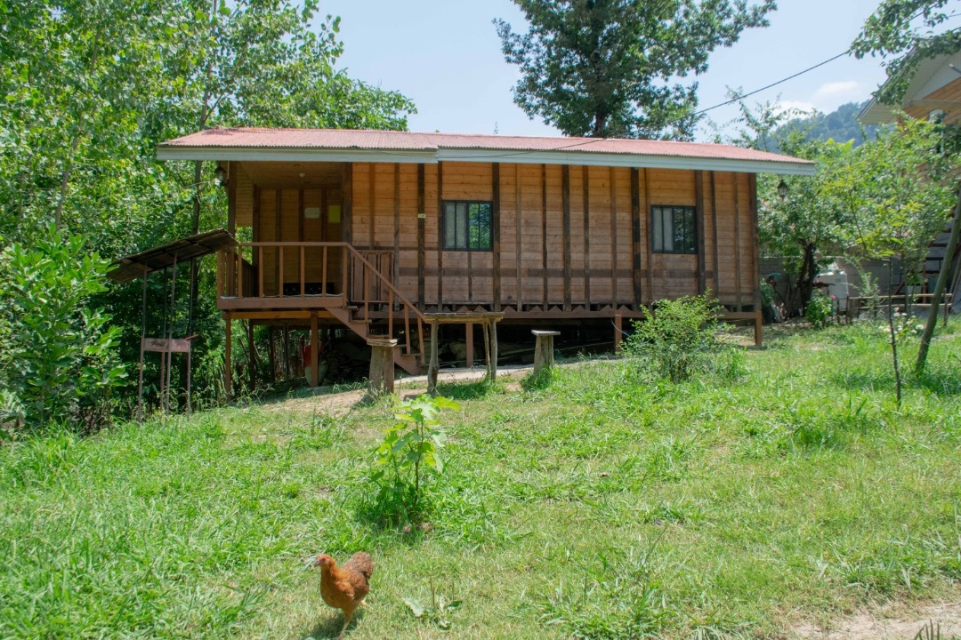 اجاره کلبه چوبی جنگلی در ییلاق سیاه دول ماسال