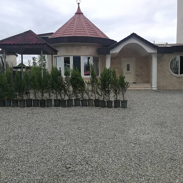 اجاره ویلا با استخر سر پوشیده آبگرم در نمک آبرود - نیلوفر